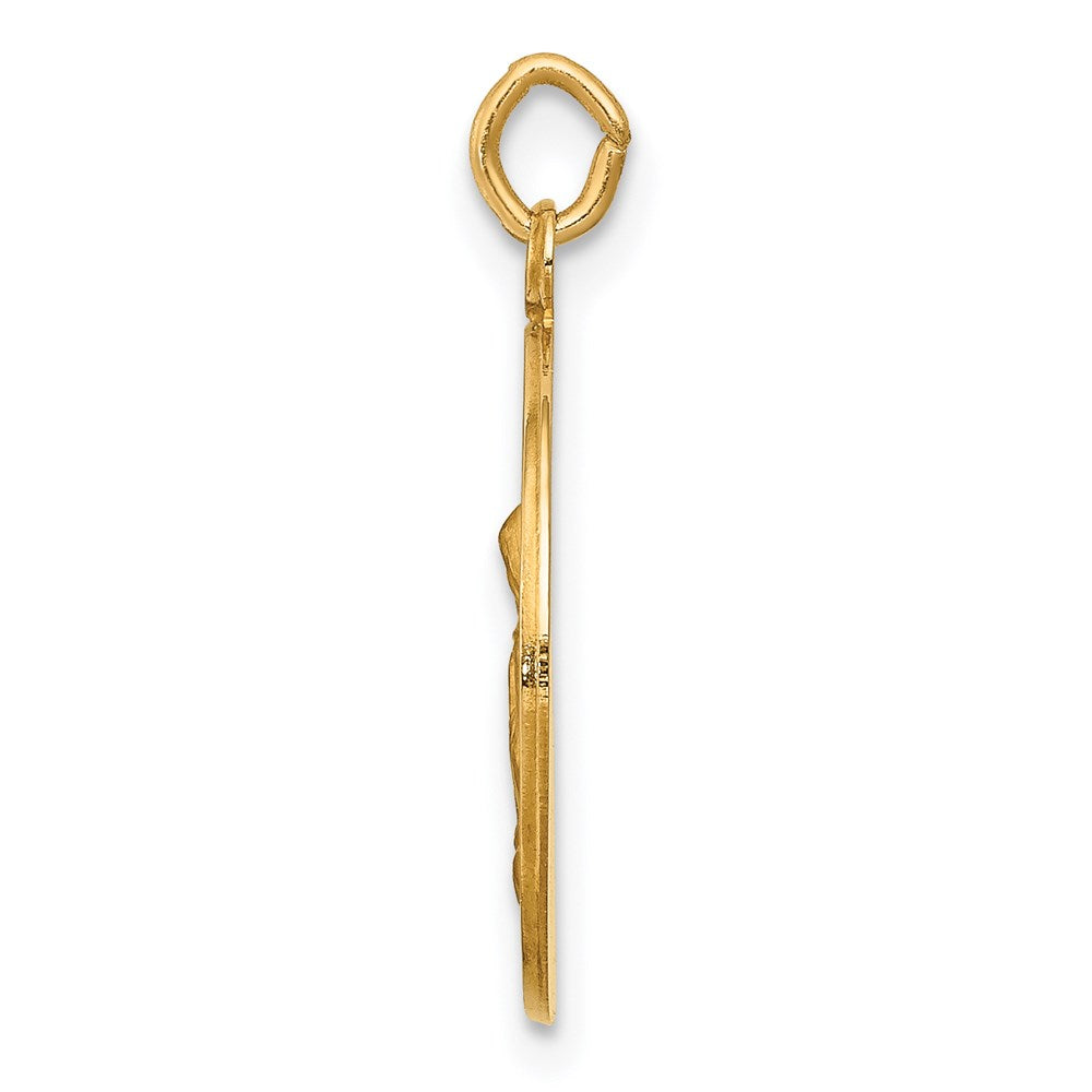 14k Yellow Gold Saint Anne Medal Charm